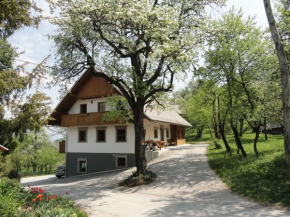 Отель Farm Stay Dolinar Krainer  Бохиньска Быстрица